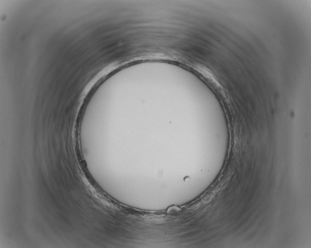 X0000085081181200704021429