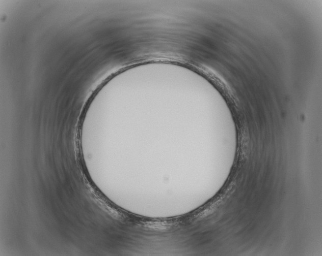 X0000085081182200704021429