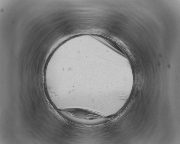 X0000085081184200704021429