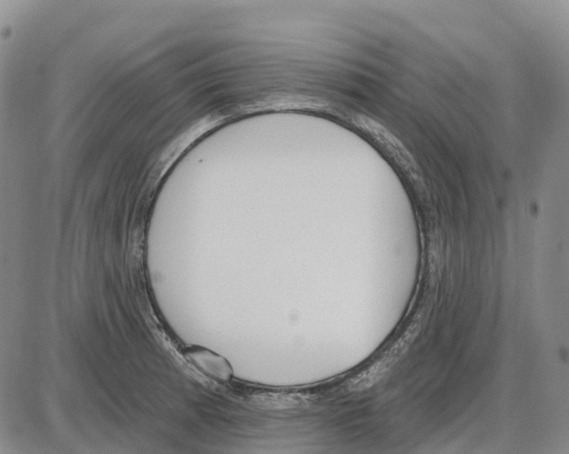 X0000085081185200704021429