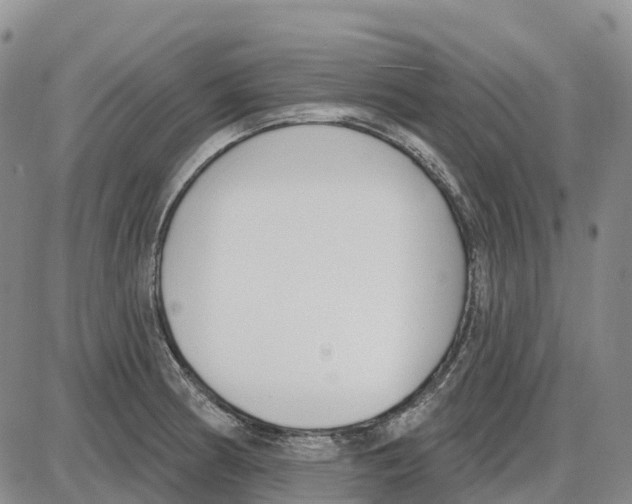 X0000085081186200704021429