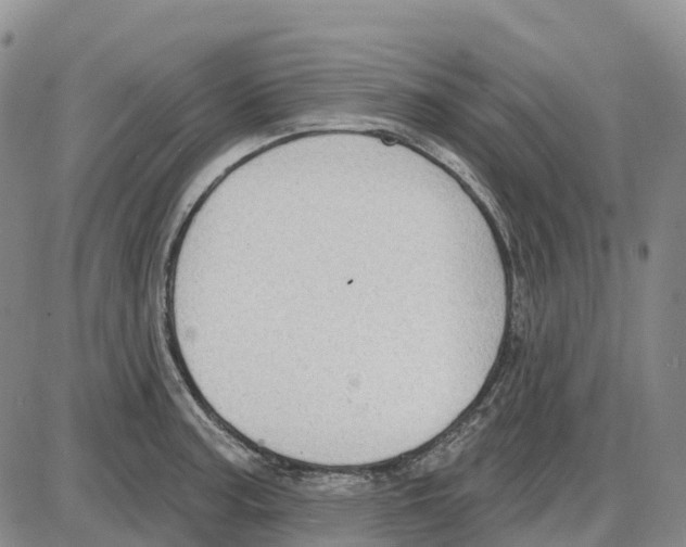 X0000085081187200704021429