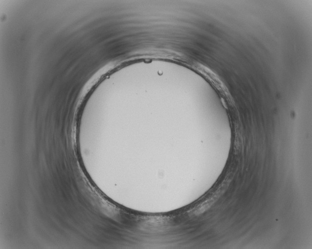 X0000085081188200704021429