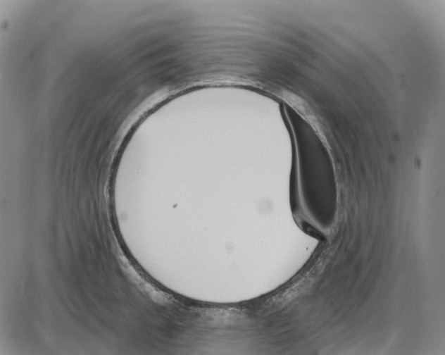 X0000085081189200704021429