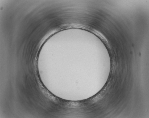 X0000085081190200704021429