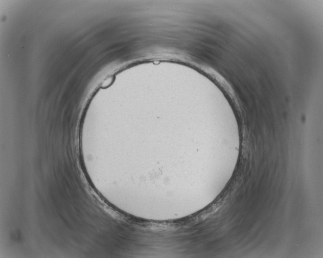 X0000085081191200704021429