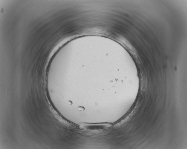 X0000085081192200704021429