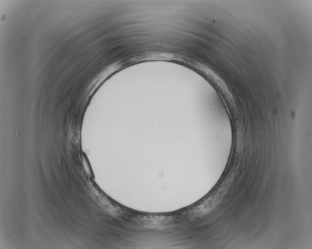 X0000085081193200704021429