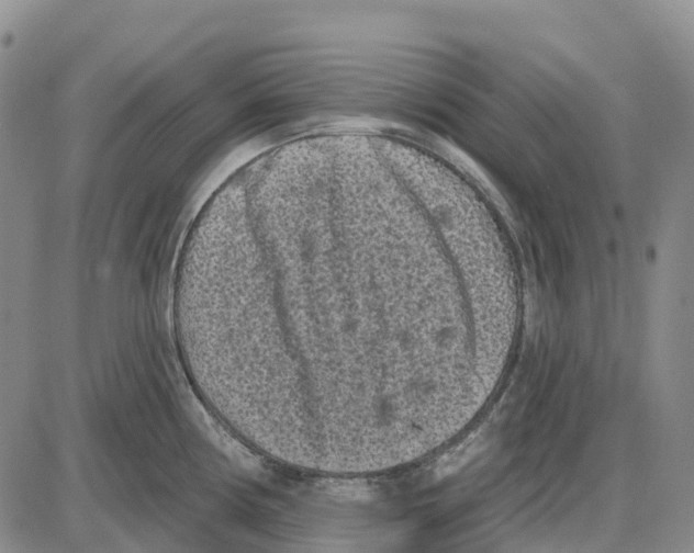 X0000085081194200704021429