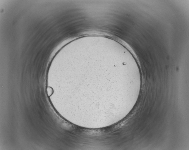 X0000085081195200704021429