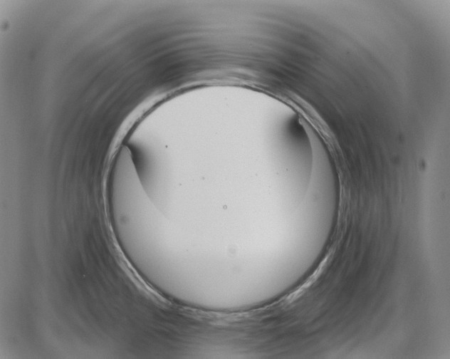 X0000085081196200704021429