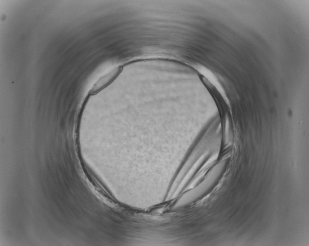 X0000085081197200704021428