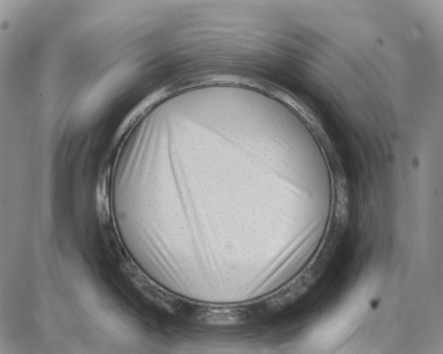 X0000085081198200704021428