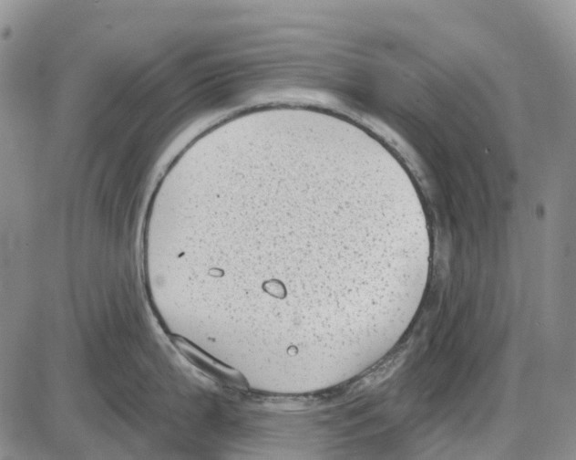 X0000085081199200704021428