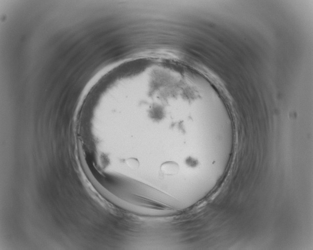 X0000085081200200704021428