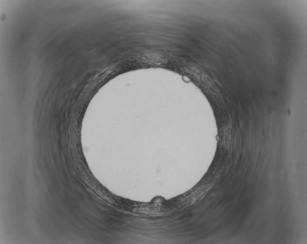 X0000085081201200704021428