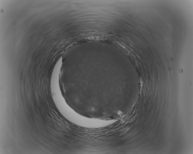 X0000085081202200704021428