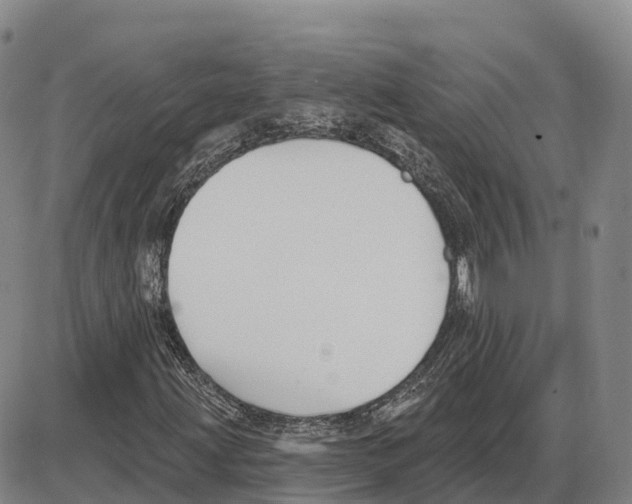 X0000085081203200704021428