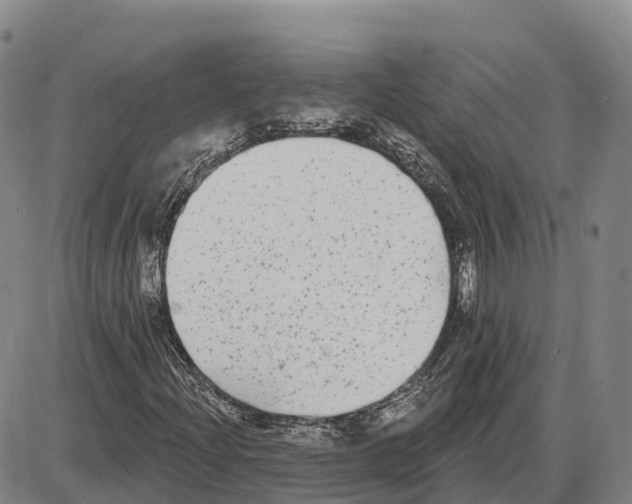 X0000085081204200704021428