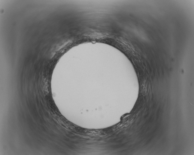 X0000085081205200704021428