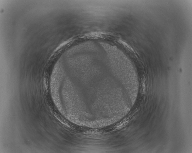 X0000085081206200704021428