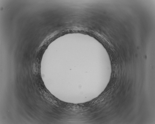 X0000085081207200704021428