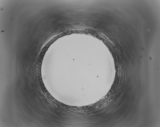 X0000085081208200704021428