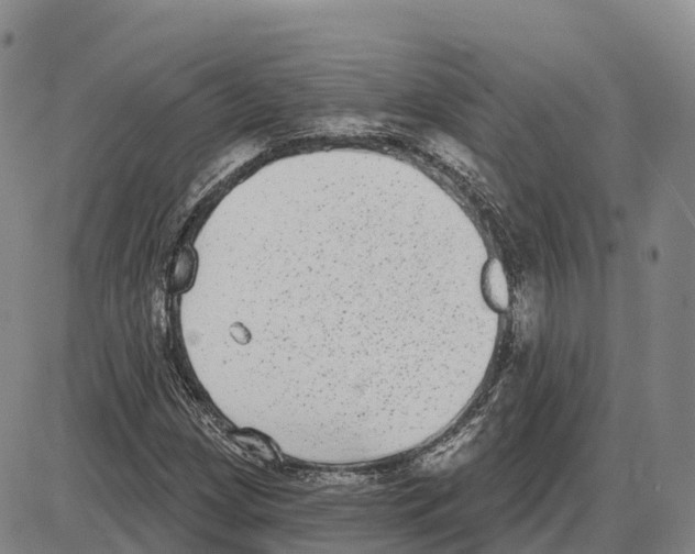 X0000085081209200704021428