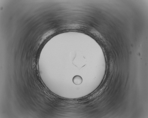 X0000085081210200704021428