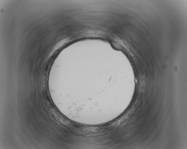 X0000085081211200704021428