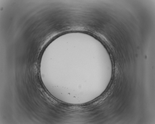 X0000085081212200704021428