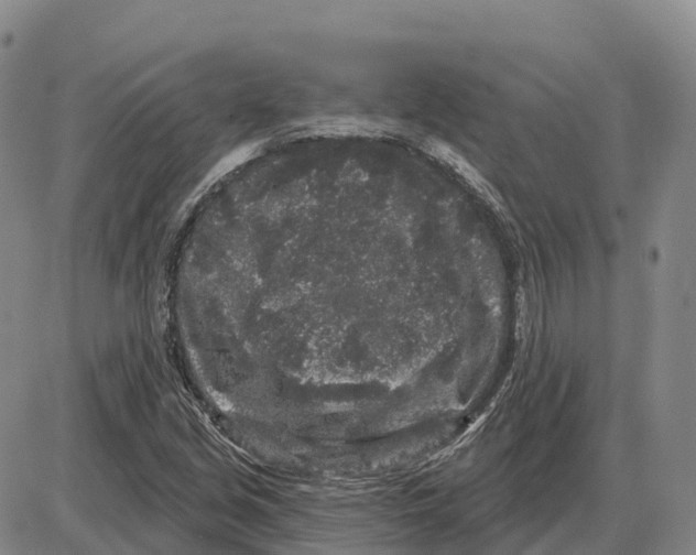 X0000085081213200704021428