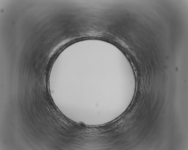 X0000085081214200704021428