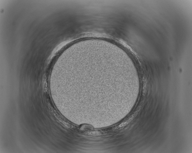 X0000085081215200704021428