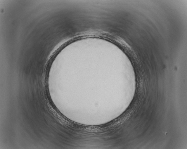 X0000085081216200704021428