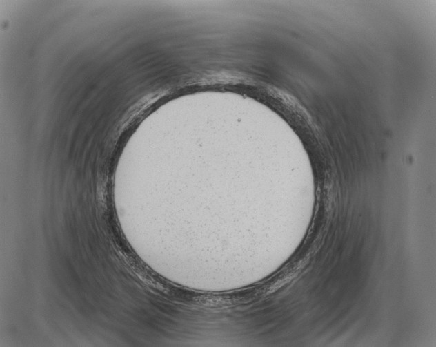 X0000085081217200704021428