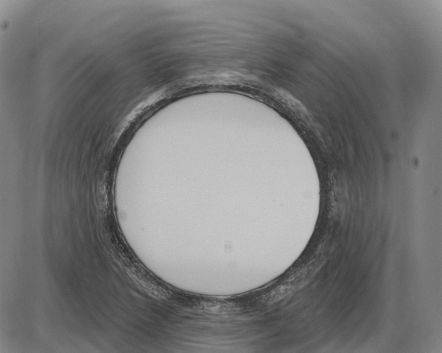 X0000085081218200704021428