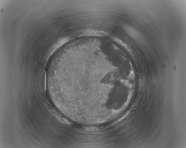 X0000085081219200704021428