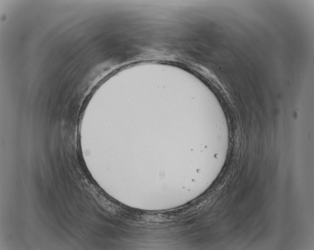 X0000085081220200704021428