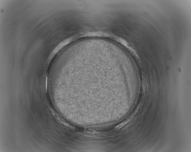 X0000085081221200704021428