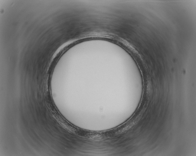 X0000085081222200704021428