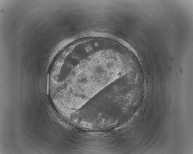 X0000085081223200704021428