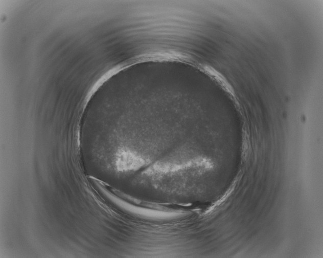 X0000085081226200704021428