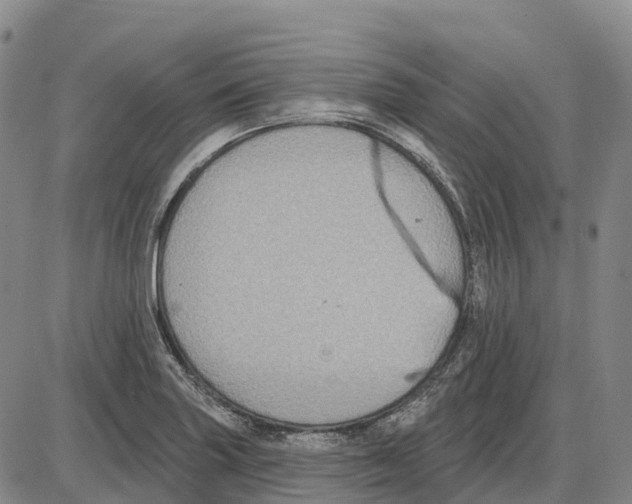 X0000085081227200704021428