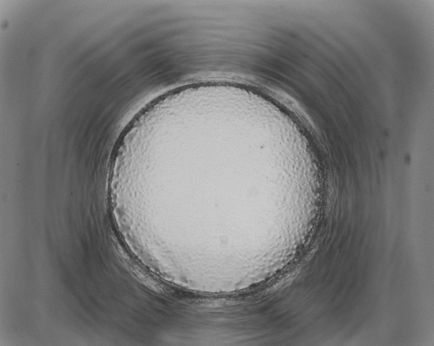 X0000085081228200704021428