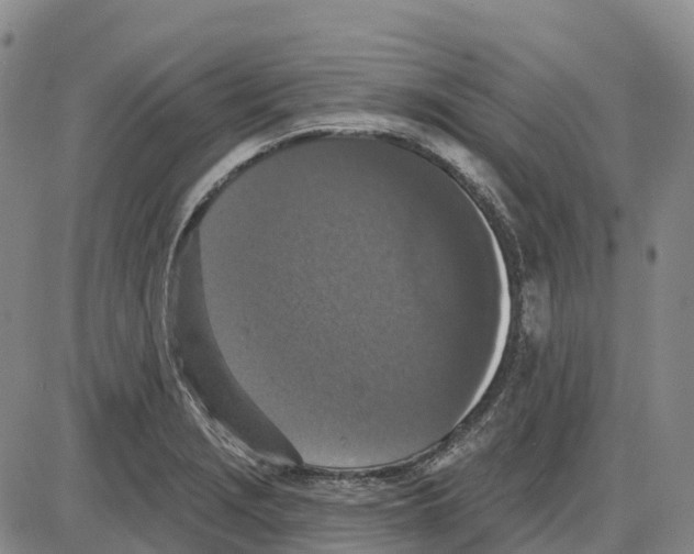 X0000085081229200704021428