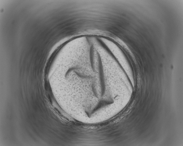 X0000085081230200704021428