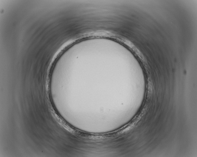 X0000085081232200704021428