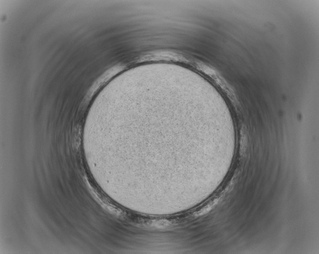 X0000085081233200704021428