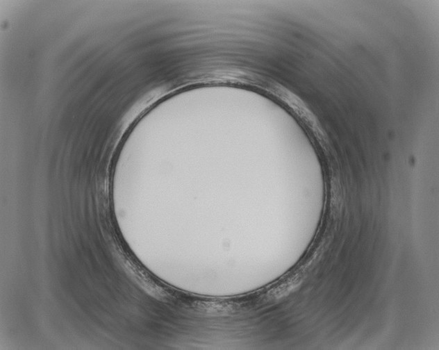 X0000085081234200704021428